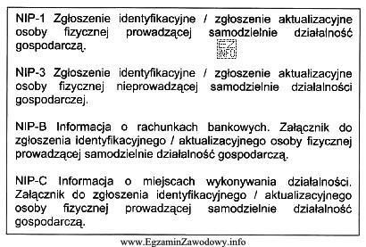 Osoba fizyczna prowadząca działalność gospodarczą, wpisana do CEIDG, 
