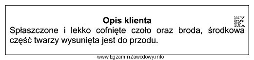 Zamieszczony opis dotyczy twarzy o profilu
