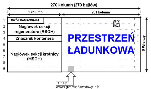 Na rysunku jest przedstawiona struktura ramki systemu