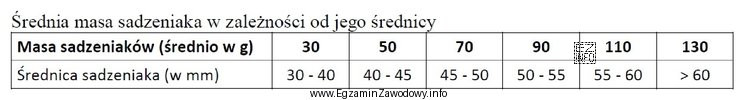 W gospodarstwie sadzone są ziemniaki o średnicy 40-45 mm w 